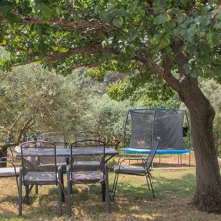 Apartman Olea Pula Zewnętrze zdjęcie